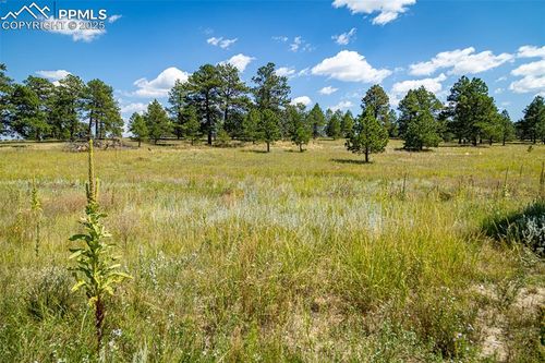 16759 Winsome Way, Colorado Springs, CO, 80908-1163 | Card Image