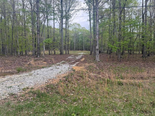0 Deerwood Dr, Home with 0 bedrooms, 0 bathrooms and null parking in Sewanee TN | Image 5