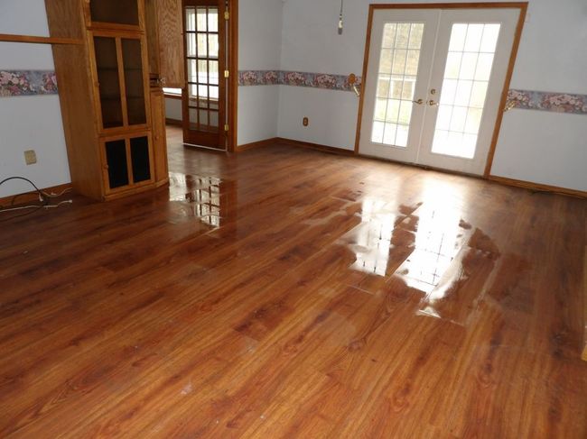 716 Rutledge Rd, House other with 2 bedrooms, 2 bathrooms and 2 parking in Transfer PA | Image 4