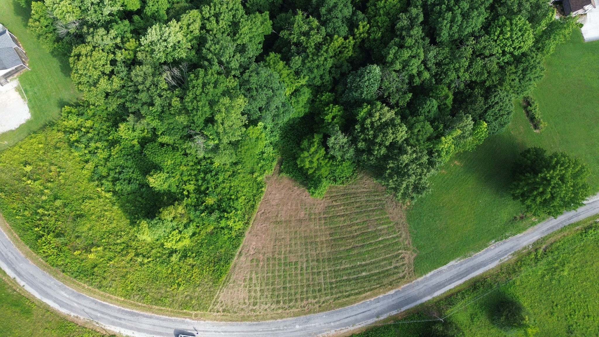 Land in Smithville 3