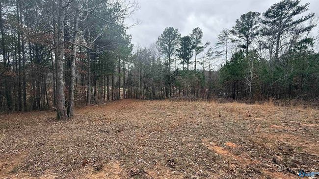 3.6 Acres Hough Rd, Home with 0 bedrooms, 0 bathrooms and null parking in Laceys Spring AL | Image 6