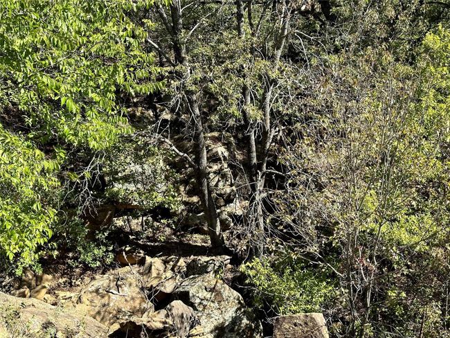 View of nature | Image 19