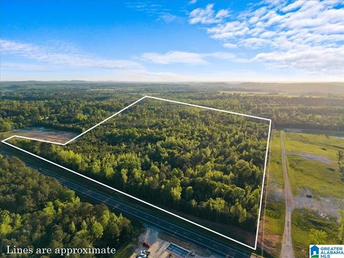 0-42 acres Alabama Highway 77, Ohatchee, AL, 36271 | Card Image