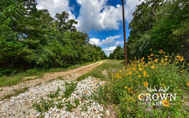 View of dirt / gravel road with a forest view | Image 13