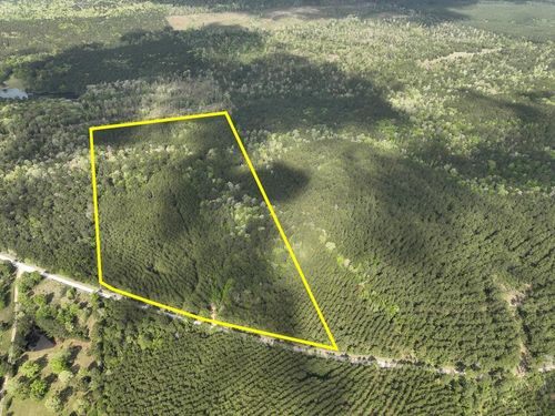 2 Cr 4280, Woodville, TX, 75979 | Card Image