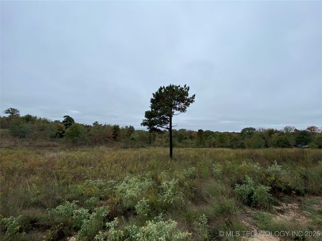 13164 S Skylark Rd, Home with 0 bedrooms, 0 bathrooms and null parking in Lane OK | Image 25