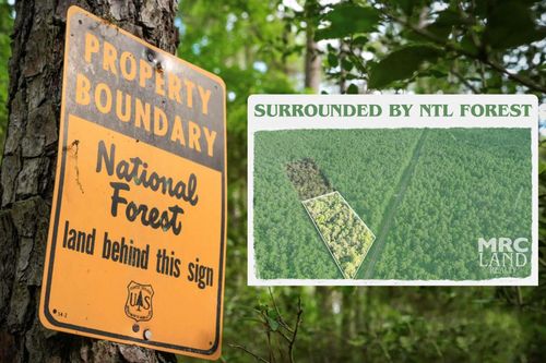 00 Fm 357, Kennard, TX, 75847 | Card Image