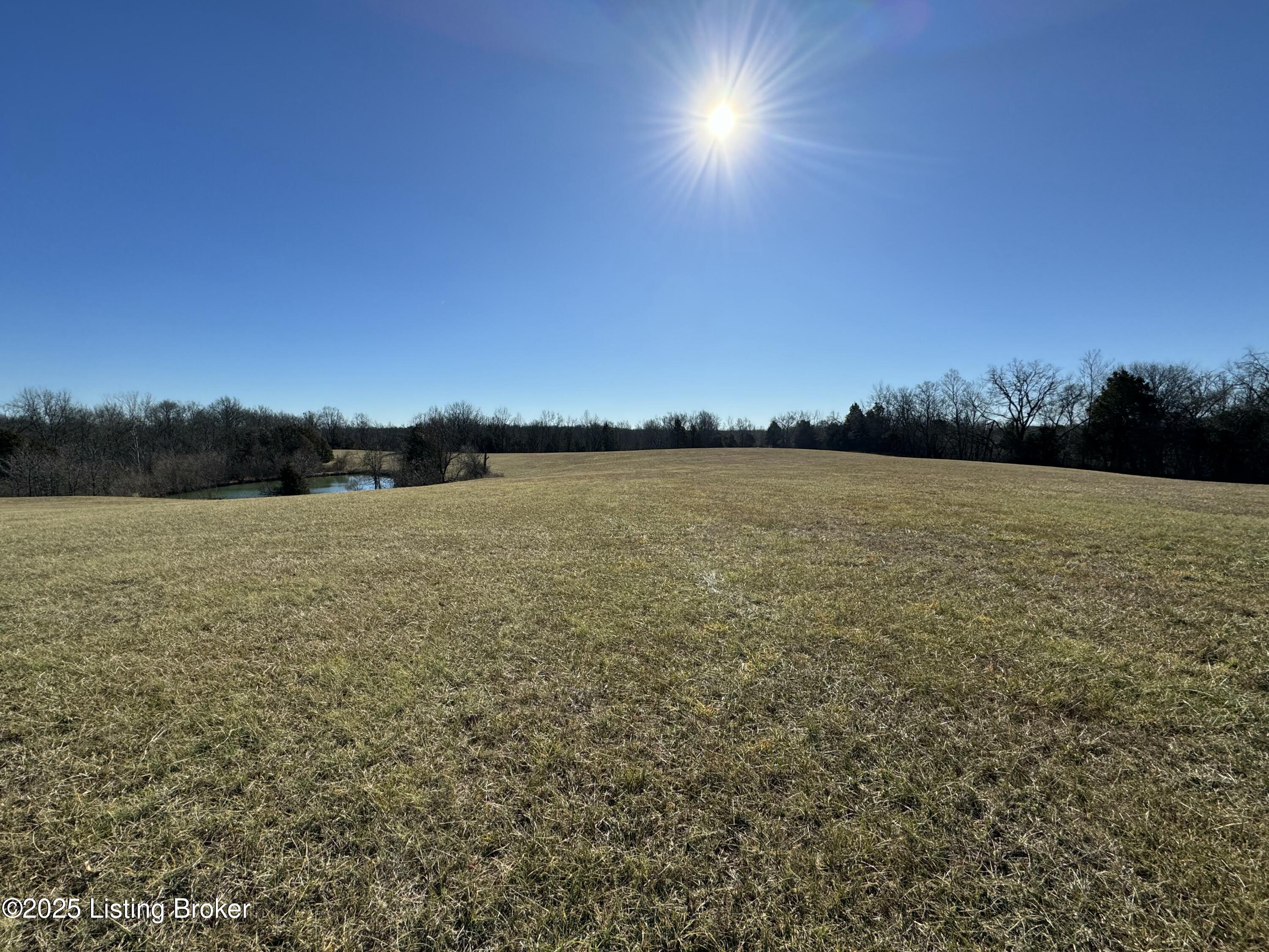 Land in Shelbyville