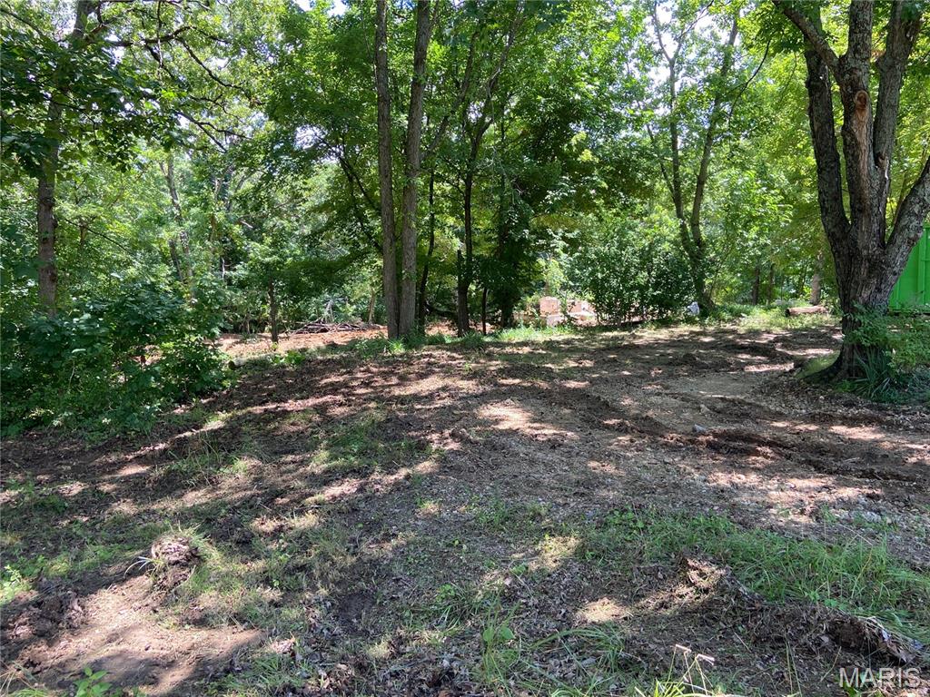 Land in De Soto 4