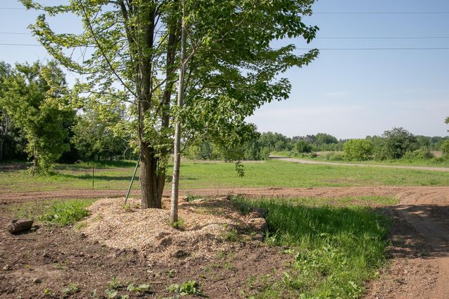 2052 Olympic St, Home with 0 bedrooms, 0 bathrooms and null parking in Mora MN | Image 7