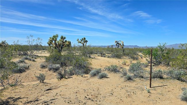 View | Image 36