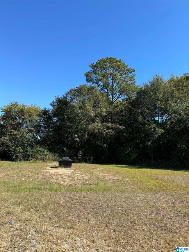 1 - 00 Main St, Home with 0 bedrooms, 0 bathrooms and null parking in Brent AL | Image 10