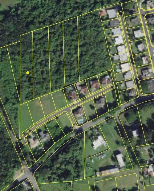 Finca De Leon Barrio Yeguada, Vega Baja, PR, 00693 | Card Image