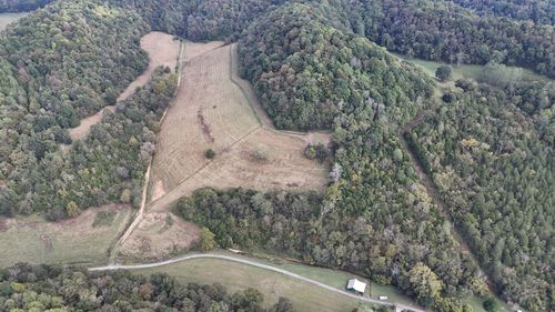 46 Carver Hollow Rd, Pleasant Shade, TN, 37145-3525 | Card Image