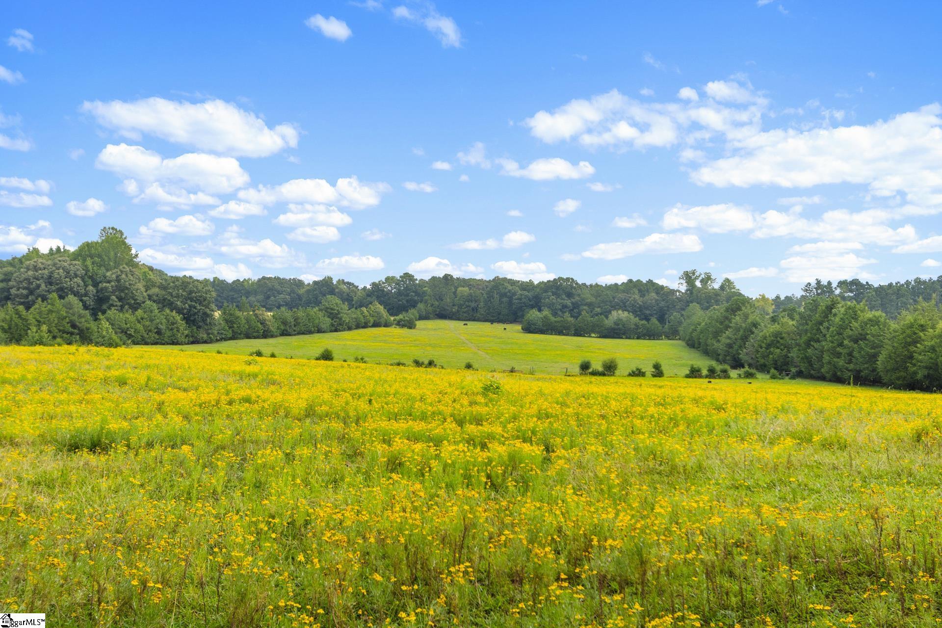 Land in Laurens 3