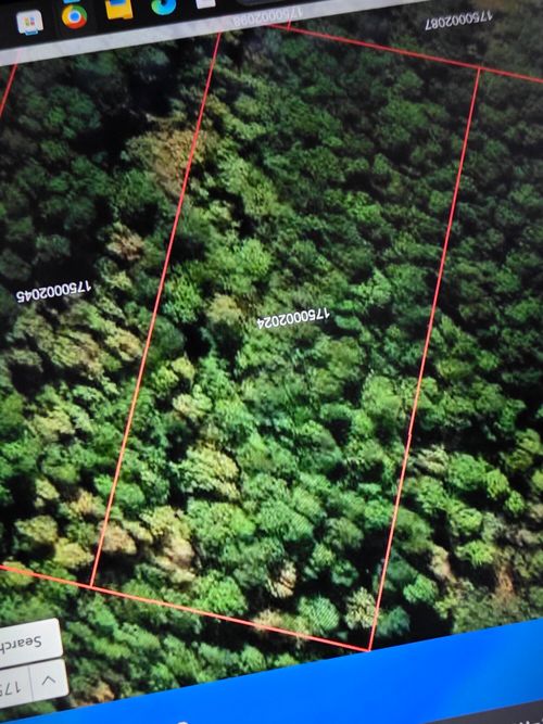 000 Clifford Way, Ridgeville, SC, 29472 | Card Image