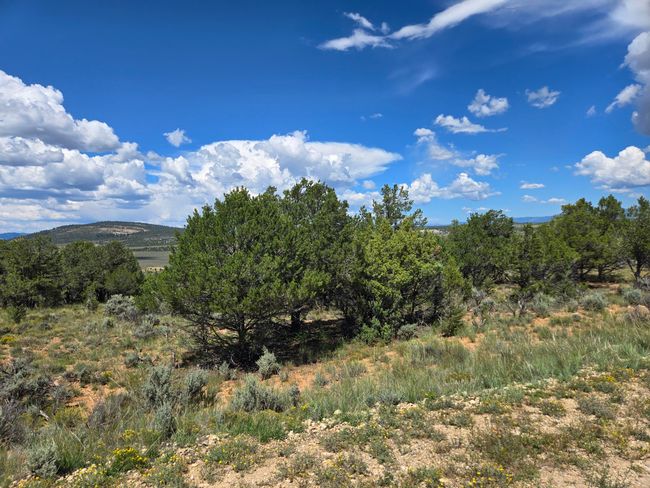 Unit 10 Tract 243 El Vado Lake Subd., Home with 0 bedrooms, 0 bathrooms and null parking in Tierra Amarilla NM | Image 7