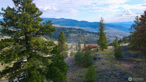 0 TBD Blue Grouse Rd, Oroville, WA, 98844-9830 | Card Image