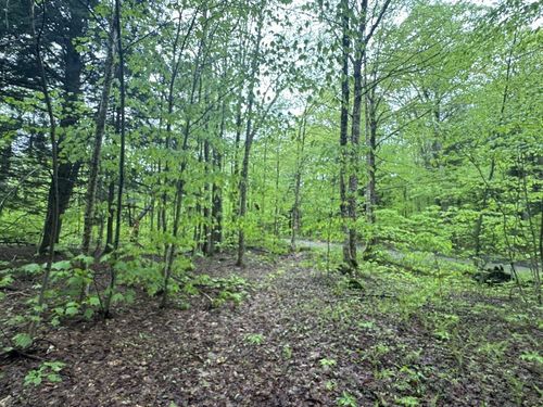 3-1585 Amidon Road, Montgomery, VT, 05471 | Card Image