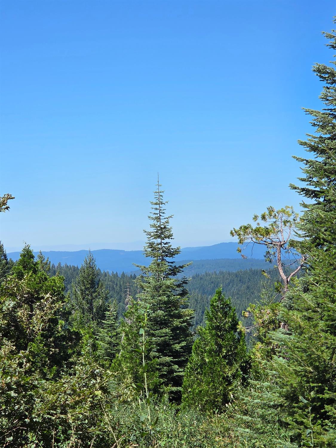 Residential in Nevada City 2