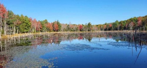408 Oak Hill Road, Swanville, ME, 04915 | Card Image