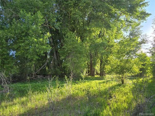 118 Caddis Cir, South Fork, CO, 81154 | Card Image