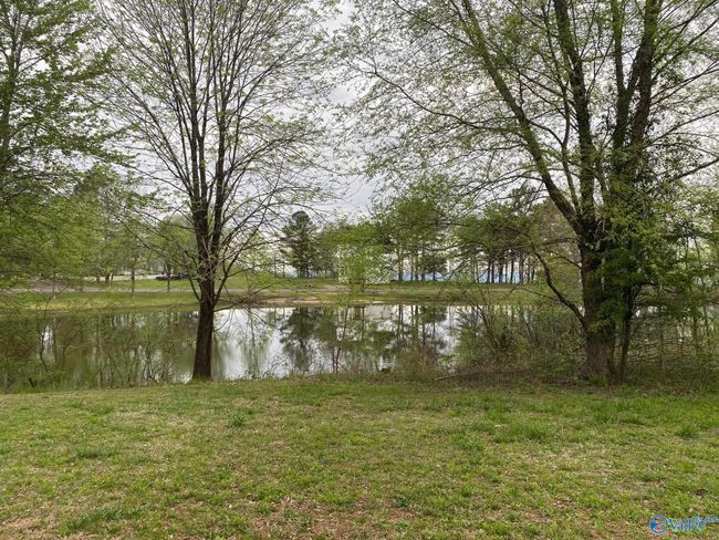 Lot 302 Main Street, Home with 0 bedrooms, 0 bathrooms and null parking in Pisgah AL | Image 5