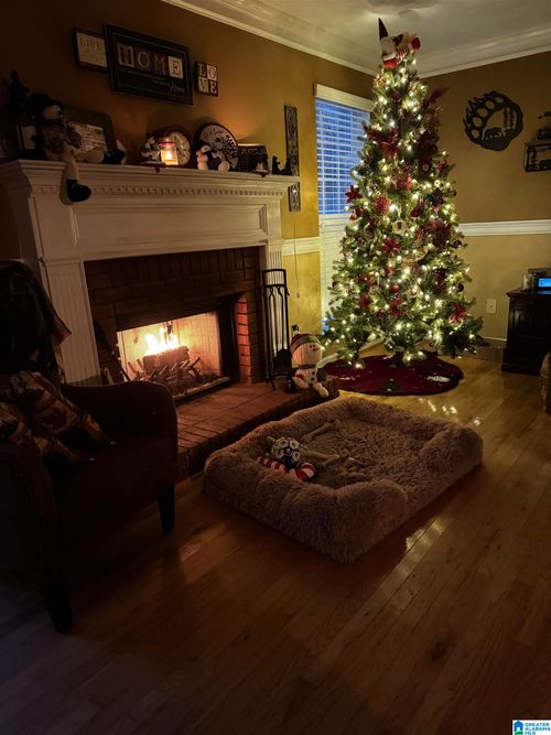 8447 Clayton Cove Rd, SPRINGVILLE, AL, 35146-7005 | Card Image