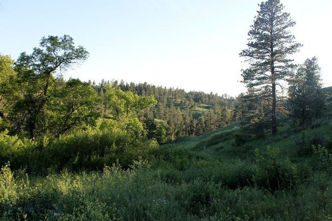 SC-25 - TBD Lone Rock Canyon Lane, Home with 0 bedrooms, 0 bathrooms and null parking in Hysham MT | Image 36