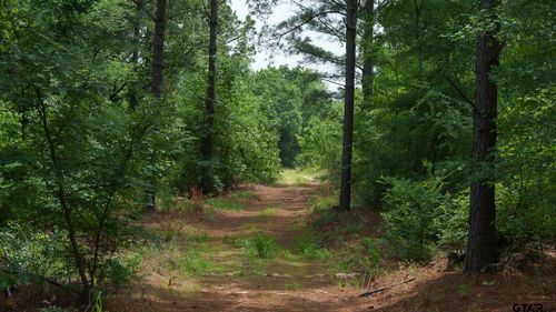 000 State Highway 64, Ben Wheeler, TX, 75754 | Card Image