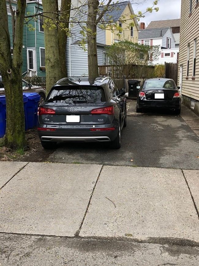 201 - 276 Cypress St, Condo with 2 bedrooms, 1 bathrooms and 1 parking in Brookline MA | Image 4