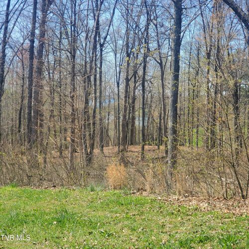 Lot 136 Tumbleweed Trl, Rutledge, TN, 37861-3105 | Card Image