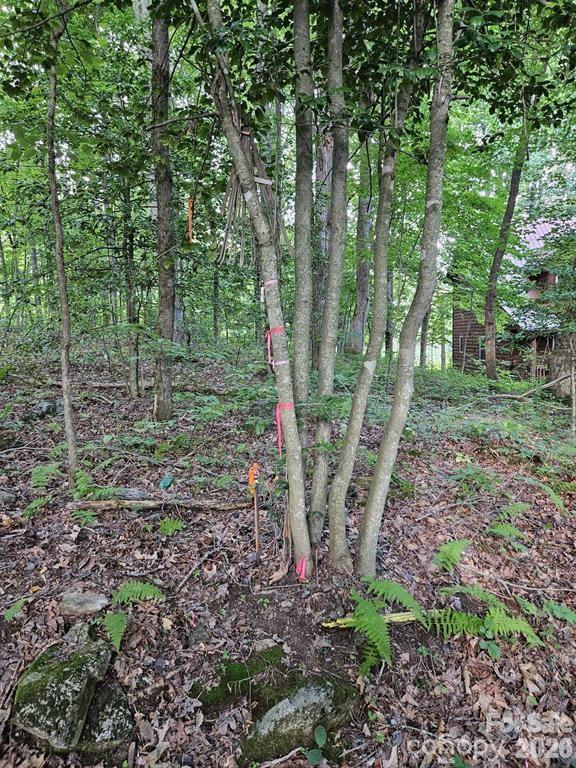 Land in Maggie Valley 3