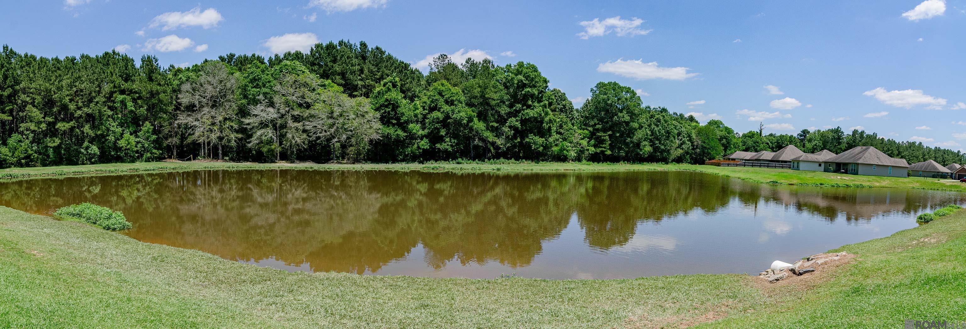 Residential in Denham Springs 2