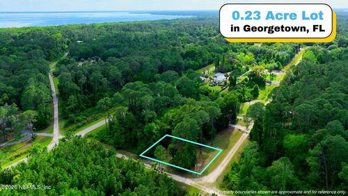 TBD Birch Blvd, Georgetown, FL, 32139 | Card Image