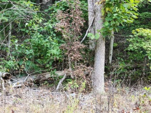 0 Apache Rd, Jamestown, TN, 38556 | Card Image