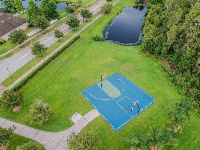 19502 Sea Myrtle Way, House other with 4 bedrooms, 4 bathrooms and null parking in TAMPA FL | Image 50