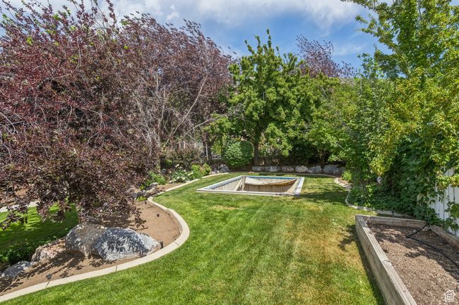 View of green lawn | Image 80