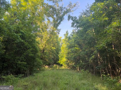0 Branan Rd, Toomsboro, GA, 31090 | Card Image