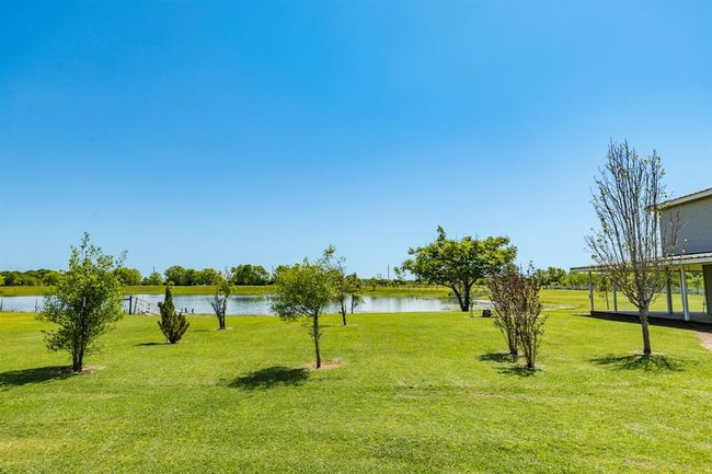 Fruit Trees include Grapefruit, Orange, Lime, and Pear. Other trees on property include Pecan and Blood Orange/Tangerine. | Image 16