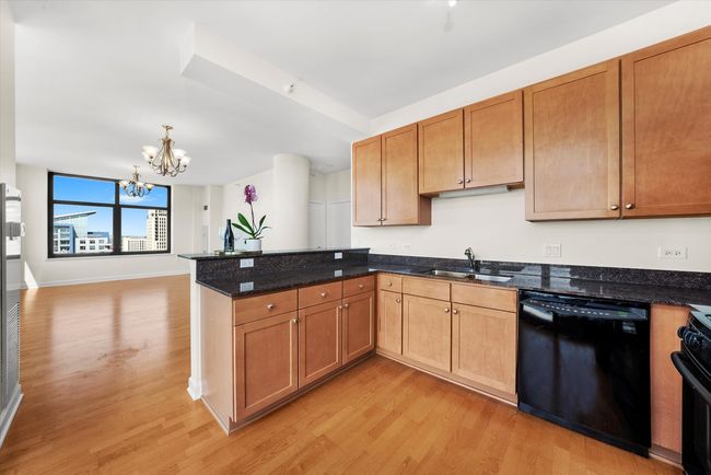 APT-2209 - 233 E 13 Th St, Condo with 2 bedrooms, 2 bathrooms and 1 parking in Chicago IL | Image 13