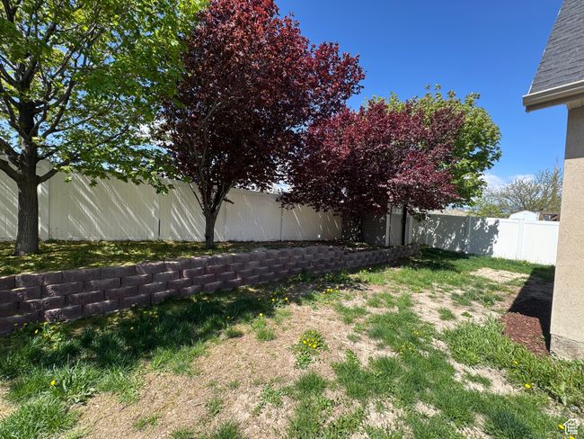 View of fenced backyard | Image 28