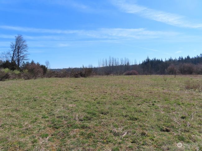 B - 107 Avery Rd W, Home with 0 bedrooms, 0 bathrooms and null parking in Napavine WA | Image 21