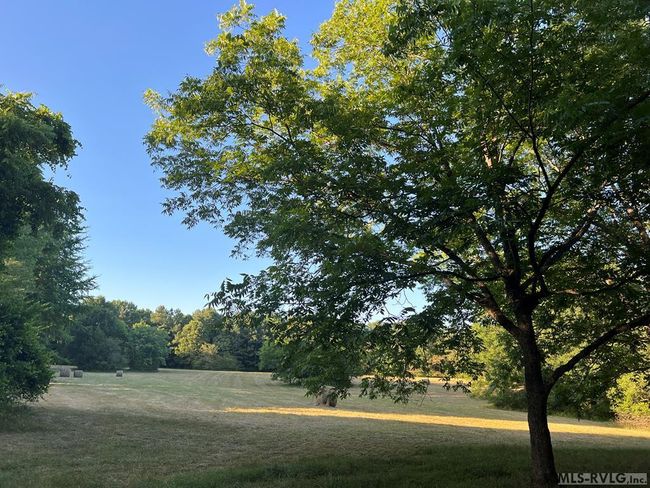 Large Pasture | Image 58