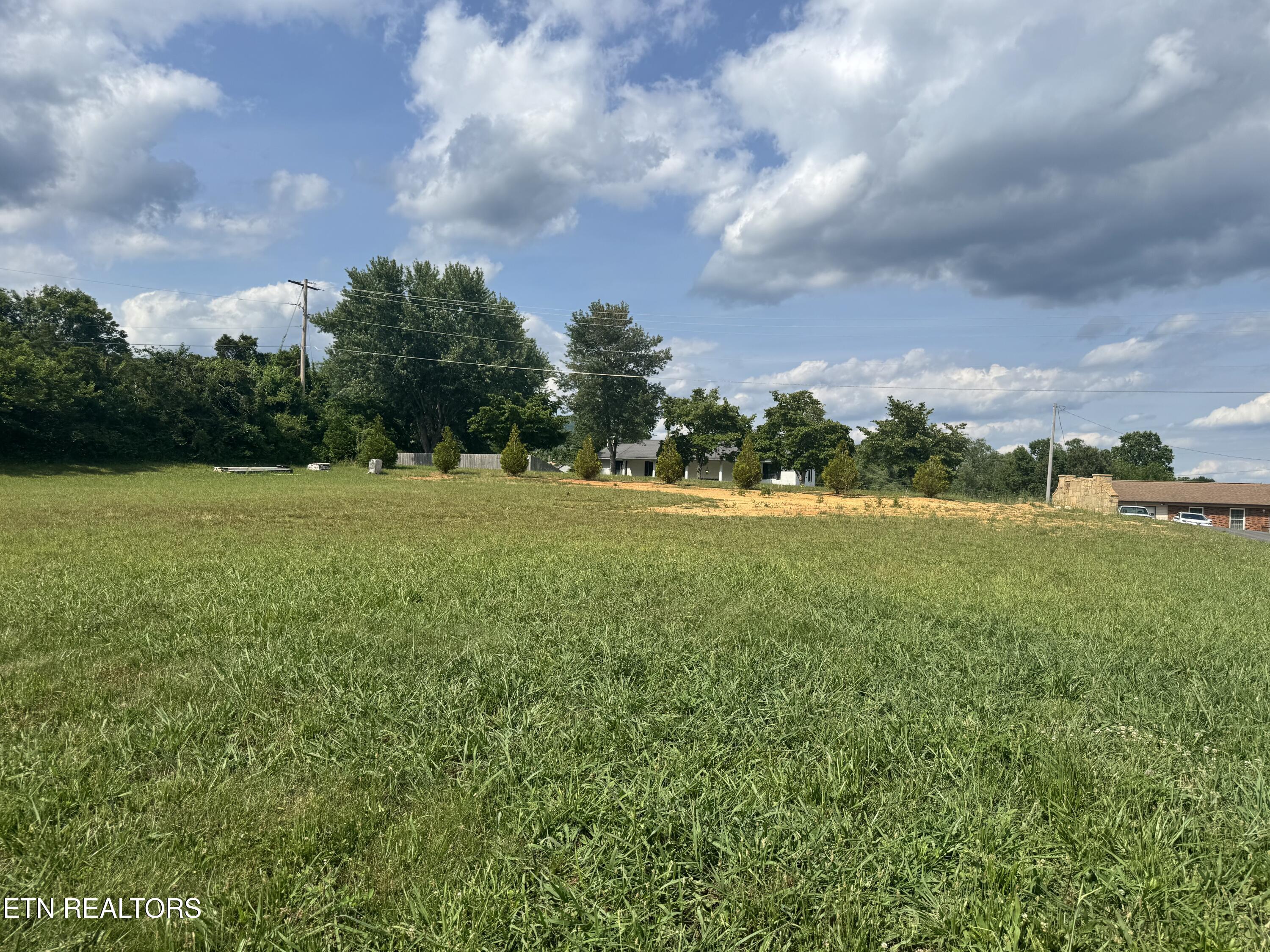 Land in Jacksboro 3