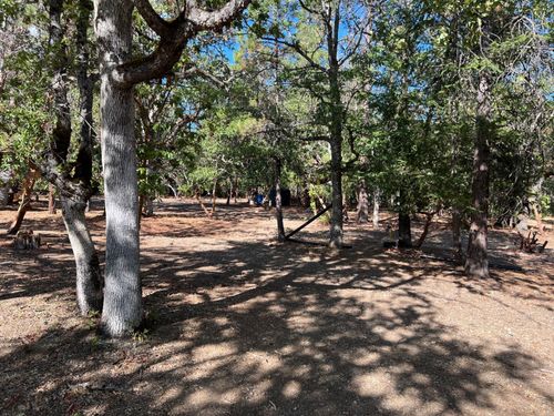 51 Oliva Dr, Hayfork, CA, 96041 | Card Image