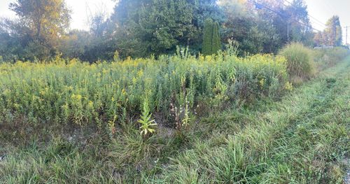 lot-324-14120 Monroe Mills Rd, Howard, OH, 43028-9390 | Card Image