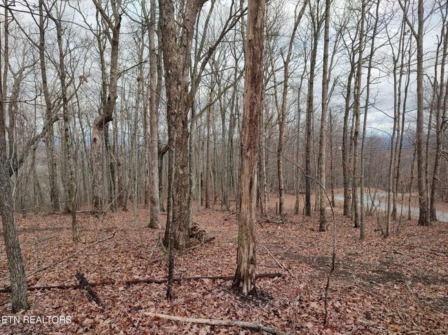 75 Renegade Mountain Pkwy, Home with 0 bedrooms, 0 bathrooms and null parking in Crab Orchard TN | Image 13