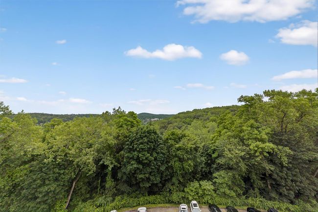 Mountain view with a forest | Image 35