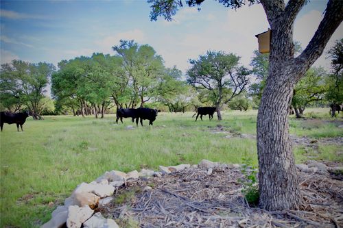 Lot 33 Starfall Drive, Lampasas, TX, 76550 | Card Image